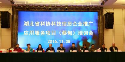 科技信息服务新篇章 2016年武汉蔡甸企业推广应用项目培训圆满举行