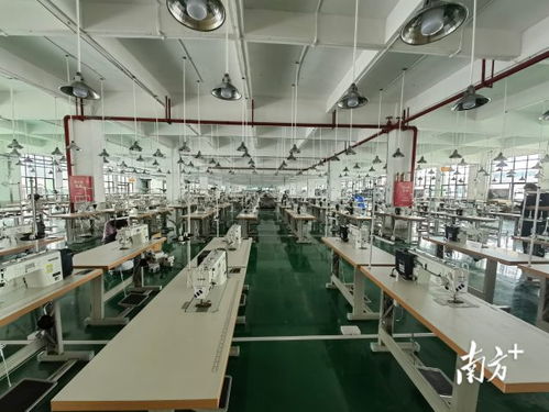 广东AI赋能产业升级 以科技信息咨询服务引爆融合新优势